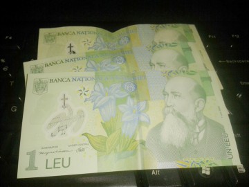 Leul s-a depreciat în raport cu principalele valute